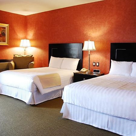 Royal Garden Reynosa Hotel Phòng bức ảnh